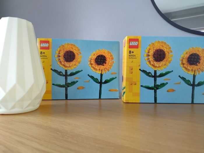 LEGO Botanicals Flower Sets