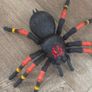 Robo Alive Giant Tarantula Spider Image 4