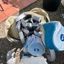 Top Flite Tour Edition golf set Image 4