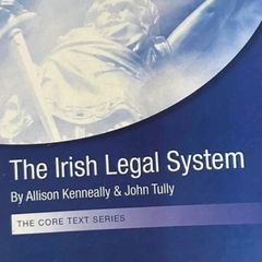 The Irish legal System