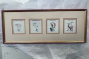 Manuscript Beatrix potter series no 509