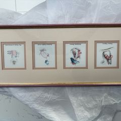 Manuscript Beatrix potter series no 509