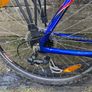 trek Image 3