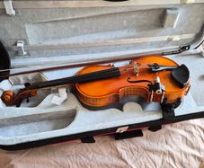 Hidersine Viviente 4/4 Violin Outfit