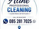 Cleaning Image 2