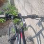 Trek mountain bke Image 8