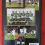 Mick McCarthy, Ireland's World Cup 2002/ 2002 Image 2