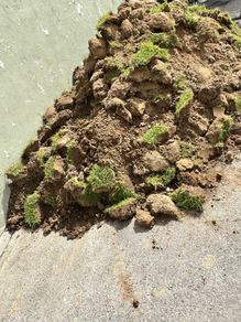 Free topsoil