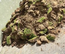 Free topsoil