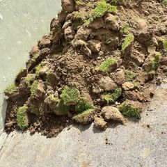 Free topsoil