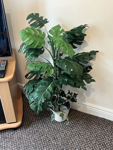 Artificial Plants