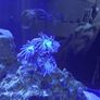 Fish tank Image 5