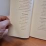 The New North: Contemporary Poetry from Northern Ireland (Paperback) Image 4