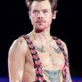 Harry Styles Pitch Ticket Saturday 23rd May Image 3