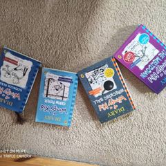 Diary of a wimpy kid