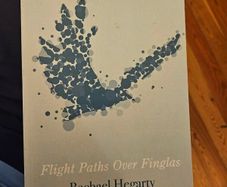 Flight Path Over Finglas. By Rachel Hegarty. First Edition Paperback In Good Condition. See Photos For Same.
