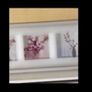 Framed Floral Prints Image 5