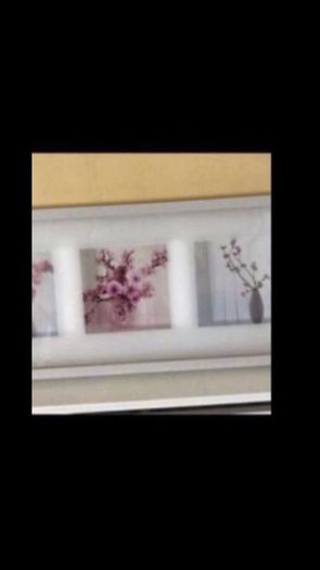Framed Floral Prints
