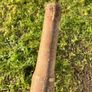 Vintage wooden oars Image 6
