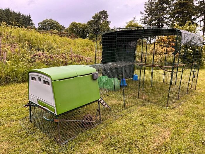 Omlet Chicken Coop and Run