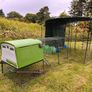 Omlet Chicken Coop and Run Image 3