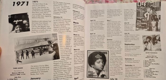 Michael Jackson A Visual Documentary