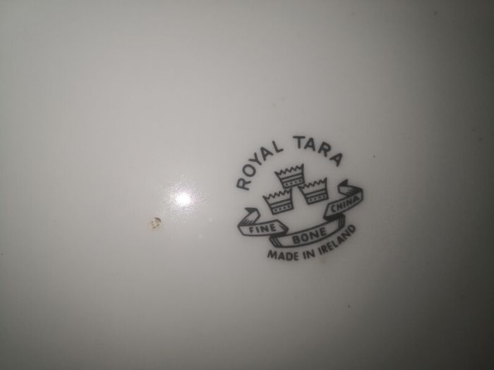 Pair of rare Royal Tara large plates