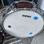 Pearl Decade Maple Image 6