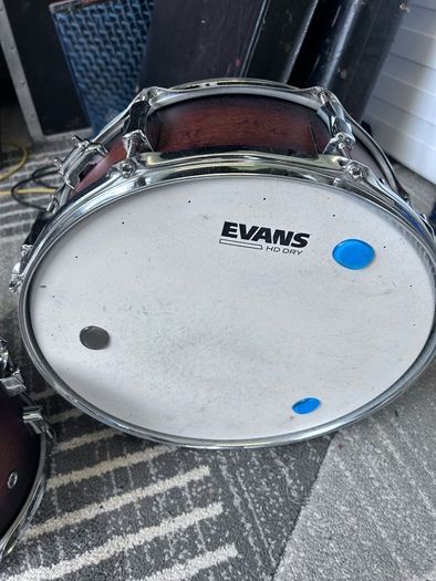 Pearl Decade Maple