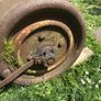 antique lawn roller Image 3
