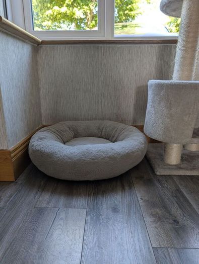 Medium size Cozy Cat or Dog Bed Beige
