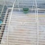 transport cage Image 5