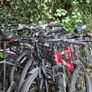 mountain bikes Image 2