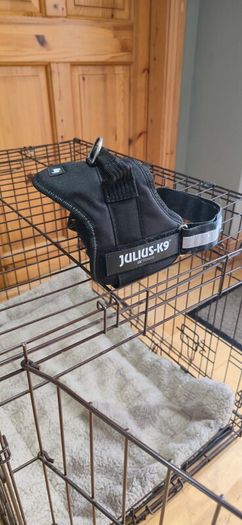 Dog Crate