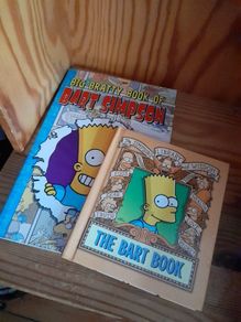 Simpsons Comic Book x 2