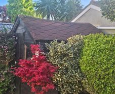 Garden Shed 8x8