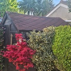 Garden Shed 8x8
