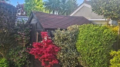 Garden Shed 8x8
