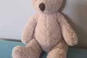 teddy bear