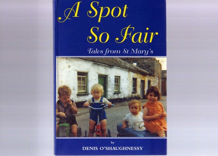 Books On Limerick