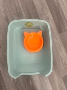 Free Cat