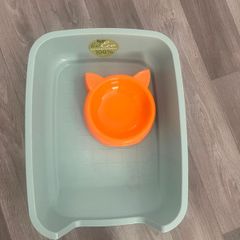 Free Cat