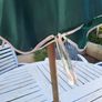 Garden Parasol Image 2