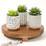 Farmhouse Set-of-3-artificial-succulents-in-pots | Black & White Ceramic pots with fake succulents | Faux Plants Indoor Artificial Succulent pots 4.75" high, 3" wide | Small Fake Plants Image 2