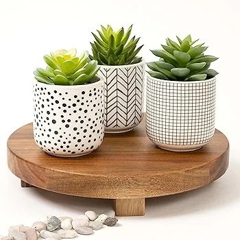 Farmhouse Set-of-3-artificial-succulents-in-pots | Black & White Ceramic pots with fake succulents | Faux Plants Indoor Artificial Succulent pots 4.75" high, 3" wide | Small Fake Plants