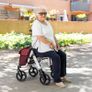 Lett Walk  Rollator/Walking Trolley Image 3