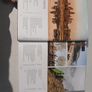 Epic Runs of the World by Lonely Planet Image 2