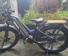 Electric Bike