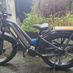 Electric Bike