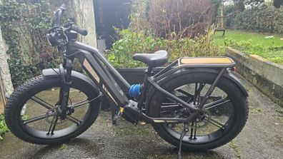 Electric Bike